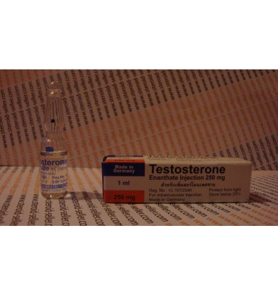 Testosterone Enanthate 250mg/1ml, Rotexmedica - Germany