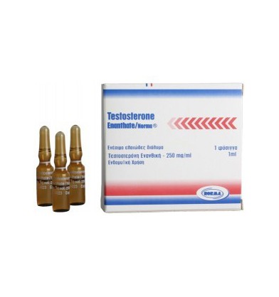 Comprare Testosterone Enanthate Norma online